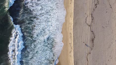 People-on-beach-walking-dogs-while-waves-break-against-sandy-shoreline