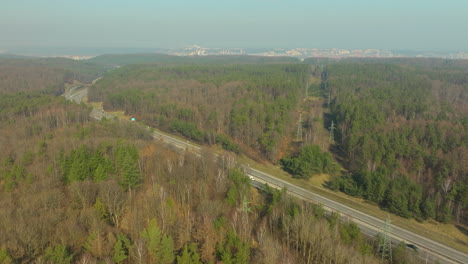 Panoramic-Aerial-View-Of-A-Country-Road-With-Dense-Forest-Near-Chwarzno,-Gdynia,-Poland