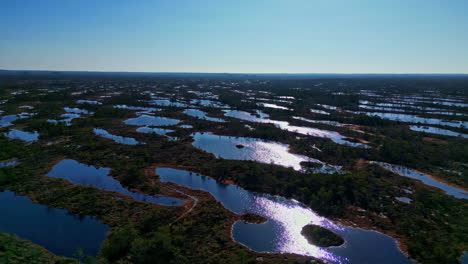 Ķemeri-national-park-with-marshes-and-forests-in-latvia,-sunlight-reflecting-on-water,-aerial-view