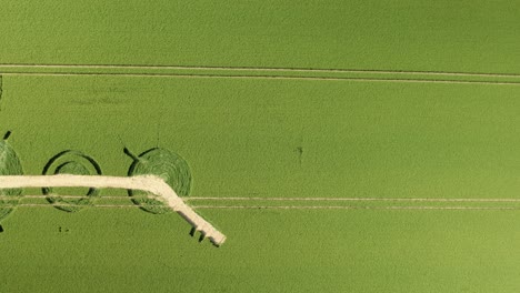 Zerstörter-Winterbourne-Bassett-Kornkreis-Luftaufnahme-Dolly-Blick-Nach-Unten-über-Wiltshire-Gerstenfeld-Muster