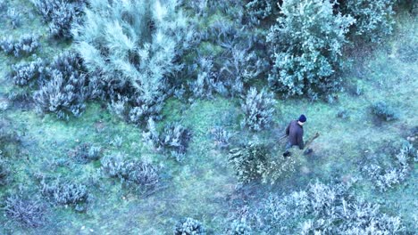 flight-with-a-drone-on-a-rural-farm-on-a-cold-morning-where-we-see-a-man-carrying-cut-trees,-one-in-each-hand-and-throwing-them-to-another-plot-through-a-metal-fence,-we-see-it-in-slow-motion