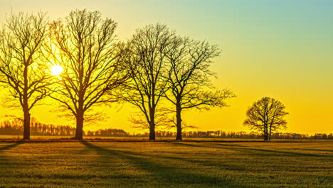 Atemberaubender-Zeitraffer-Eines-Wunderschönen-Sonnenuntergangs-Hinter-Der-Silhouette-Der-Laubbäume