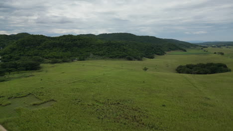 Cultivo-Y-Cultivo-De-Plantas-En-Zonas-Rurales-De-Jamaica.