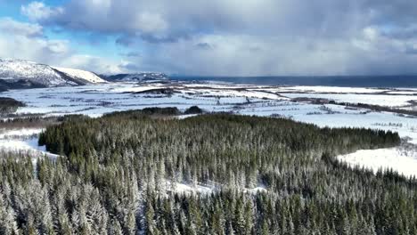 Un-Acogedor-Día-De-Invierno-En-El-Norte-De-Noruega