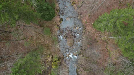 Statischer-Überblick-Aus-Der-Vogelperspektive-über-Einen-Fließenden-Fluss-Mit-Abgebrochenen-Ästen-Und-Steinen-Im-Wasser