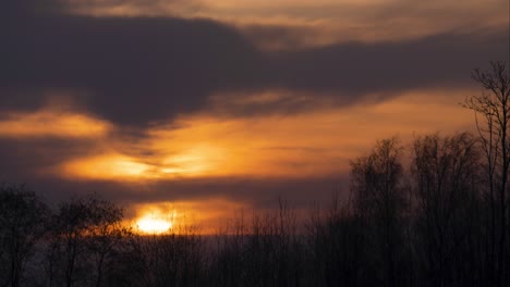 Orange-Große-Sonne-Geht-Hinter-Grauen-Cumulus-Wolken-Mit-Baumkronen-Hintergrund