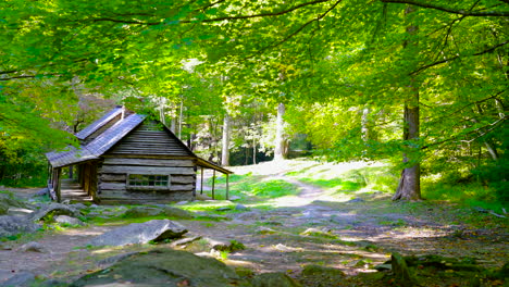 Entfernte-Rustikale-Blockhütte-In-Ost-Tennessee