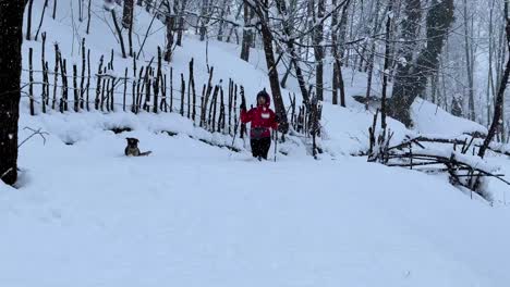 Una-Mujer-Caminando-En-La-Nieve-Con-Un-Perro-Mascota-Fuertes-Nevadas-En-El-Bosque-Maravilloso-Paisaje-Natural-Actividad-Al-Aire-Libre-En-Un-Pueblo-Rural-Destino-De-Viaje-épico-Paisaje-Invernal-Del-Bosque-De-Hyrcanian