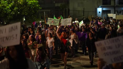 Feminismus,-Protestbanner,-Wir-Schaffen-Das