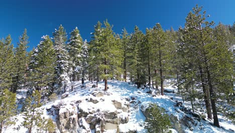 Vista-Aérea-De-Pinos-Y-Grandes-Rocas-De-Acantilados.