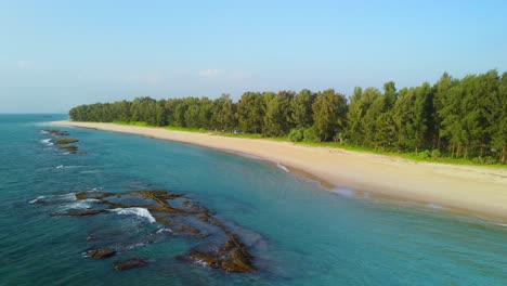 Amazing-Beach-with-Beautiful-Water-and-Untouched-Remote-Nature,-Beach-with-Pine-Trees-and-Coral-Reefs-along-the-Shore