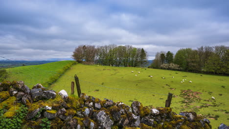 Zeitraffer-Einer-Ländlichen-Landschaft-Mit-Holzpfeilern-In-Einer-Steinmauer-Im-Vordergrund-Und-Einem-Hügel-Mit-Bäumen-Und-Schafen-In-Der-Ferne-An-Einem-Sonnigen,-Bewölkten-Tag,-Gesehen-Von-Carrowkeel-In-Der-Grafschaft-Sligo-In-Irland