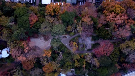 Bunter-Herbstpark-In-Der-Abenddämmerung,-Ruhige-Atmosphäre,-Luftaufnahme,-Luftaufnahme