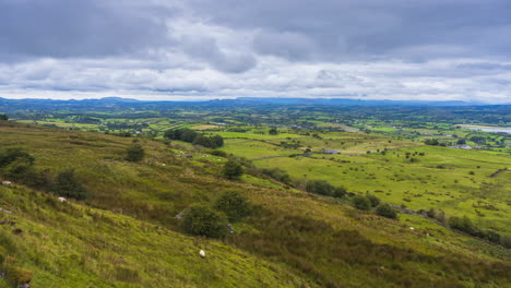 Timelapse-of-rural-nature-farmland-with-trees-and-sheep-in-the-foreground-field-and-hills-and-houses-in-distance-during-cloudy-day-viewed-from-Carrowkeel-in-county-Sligo-in-Ireland