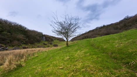 Zeitraffer-Von-Ländlichem-Ackerland-Mit-Einem-Einzelnen-Baum-Auf-Einer-Wiese-An-Einem-Bewölkten-Tag,-Gesehen-Von-Carrowkeel-In-Der-Grafschaft-Sligo-In-Irland