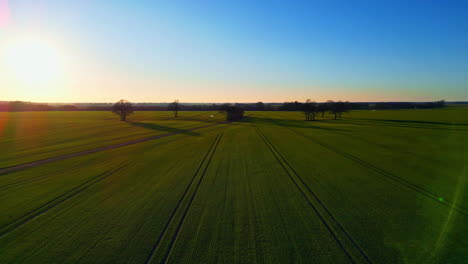 Slow-scenic-aerial-dark-green-open-field-sunny-blue-sky-day-rural-landscape