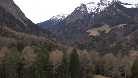 Vista-Aérea-Del-Bosque-Con-Montañas-Cubiertas-De-Nieve-En-El-Fondo,-Toma-De-Drones-De-La-Cruz-De-La-Cumbre-En-Austria