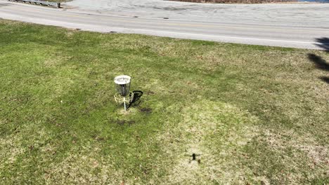 Shadows-of-a-lush-pine-tree-against-spring-grass