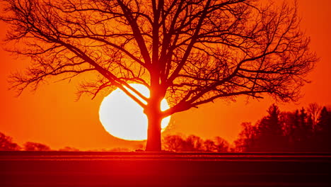 Closeup-of-sun-rising-on-the-horizon-during-orange-red-dusk,-timelapse-footage-of-sunrise