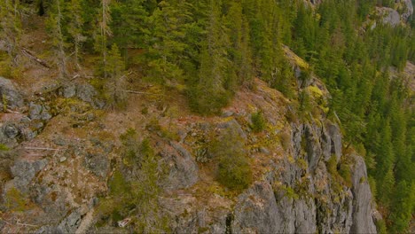 Aerial-view-of-Rocky-Cliff-and-Trees-in-Canadian-Nature