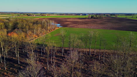 Arable-land-and-forest-area-on-sunny-day,-aerial-drone-view