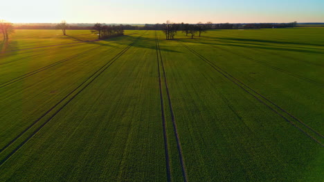 Aerial-drone-panning-shot-over-green-agricultural-farmland-on-a-sunny-morning