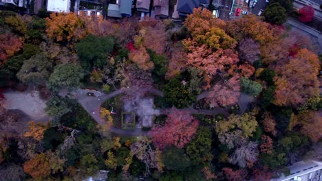 A-park-with-vibrant-autumn-foliage-at-dusk,-light-fog-embracing-trees,-aerial-view