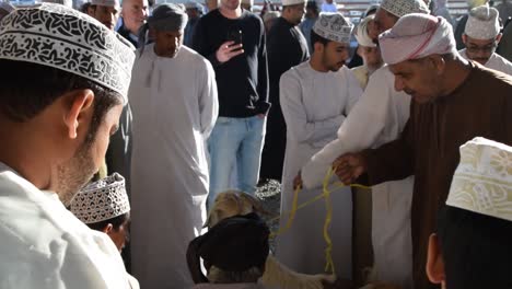 Men-negotiating-about-goat-at-livestock-market-in-Nizwa,-Oman