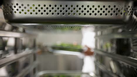 Chef-sliding-a-perforated-tray-of-fresh-broccoli-into-an-industrial-kitchen-oven,-blurred-background