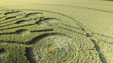 Low-angle-drone-view-over-enigmatic-crop-circle-in-green-farm-land,-Owslebury