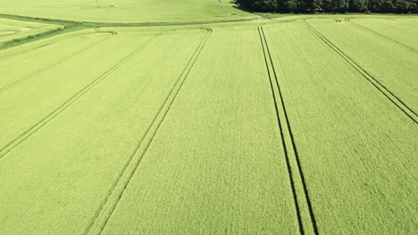 Establishing-aerial-view-Broad-Hilton-crop-circle-to-reveal-complex-spiral-pattern-on-Wiltshire-agricultural-farmland