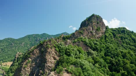 Exuberante-Vegetación-En-El-Pico-Pietrele-Rosiei,-Montañas-Cozia,-Con-Cielos-Despejados