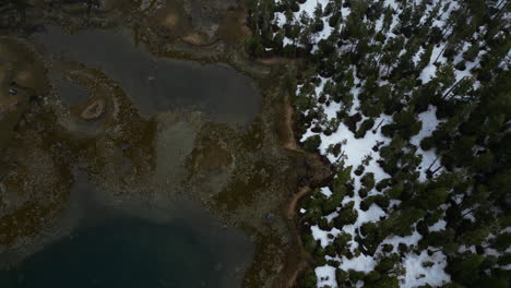 Drohnenschuss-über-Winterlichen-Wäldern-Und-Einem-überfluteten-Sumpfgebiet-Im-Bewölkten-Alaska,-USA