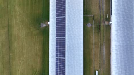 Solar-panels-on-chicken-houses-at-American-farm