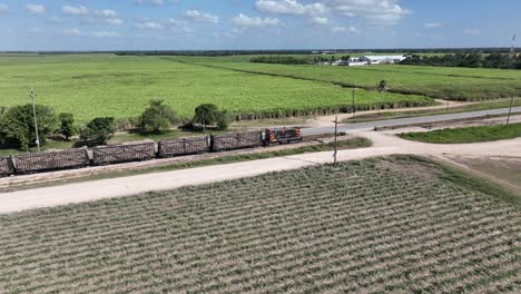 Train-loaded-of-sugarcane-harvest-passing-along-cultivated-fields,-Higueral,-La-Romana-in-Dominican-Republic