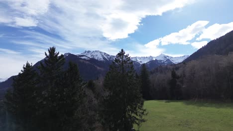 Vista-Aérea-De-Drones-Que-Se-Elevan-En-El-Cielo-Azul-Sobre-Un-Bosque-De-Pinos-Con-Montañas-Nevadas-En-El-Fondo-En-Un-Hermoso-Día-Soleado-En-Austria