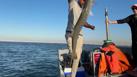 El-Pescador-Intenta-Capturar-Peces-Barracudas-Del-Mar-Utilizando-El-Método-Tradicional-Antigua-Cultura-árabe-De-Habilidad-De-Pesca-En-Irán-Atracción-Turística-Del-Golfo-Pérsico-Isla-Qeshm-Paisaje-De-La-Gente-Local