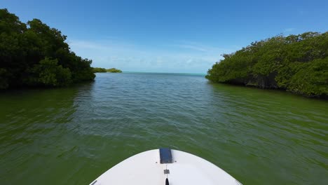 POV-Observando-Manglares-Tropicales-Prístinos-Mientras-Navega-En-Un-Barco-De-Pesca,-Mar-Caribe-Los-Roques