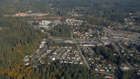 Residential-Neighborhood-and-Forest-on-a-Sunny-Day-AERIAL