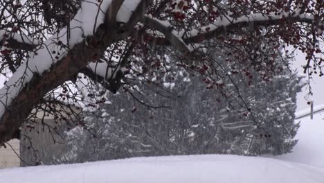 Snow-accumulates-after-a-cold-winter-snow-storm-in-Meridian,-Idaho-in-2024