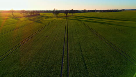 Early-morning-sunrise-over-green-farmland,-aerial-drone-view