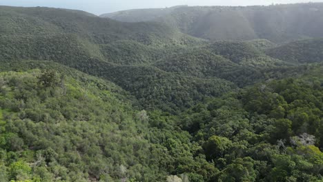 Luftaufnahme-Des-Waldes-Außerhalb-Von-Plettenburg-Bay,-Garden-Route