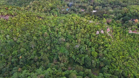 Imágenes-De-Drones-De-Edificios-De-Madera-En-La-Jungla-De-La-Isla-De-Siquijor-En-Filipinas