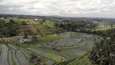 Wide-aerial-shot-flying-over-rice-fields,-and-flooded-terraces-in-a-valley-in-Asia