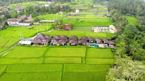 Traditionelle-Balinesische-Hütten-Zwischen-Reisfeldern-In-Einer-Wunderschönen-Naturlandschaft