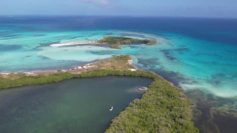 A-lush-mangrove-forest-surrounded-by-turquoise-waters-at-daytime,-aerial-view