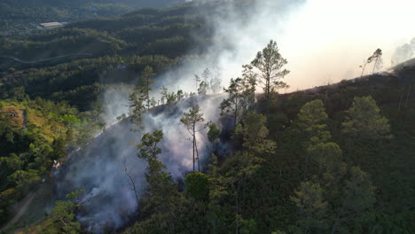 Waldbrand-Auf-Dem-Berg-In-Der-Nähe-Von-Jarabacoa-Im-Tiefen-Regenwald-Bei-Sonnenuntergang