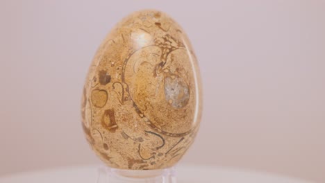 Fossil-Stone-egg-rotating-slowly-on-a-turntable-in-front-of-a-white-background