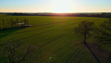 Aerial-view-backwards-over-a-trees-in-middle-of-rural-farmlands,-spring-sunrise