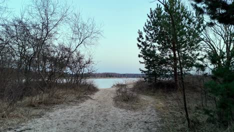 A-sandy-path-leads-to-a-lake-with-trees-in-the-background